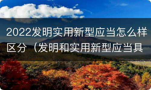 2022发明实用新型应当怎么样区分（发明和实用新型应当具备）