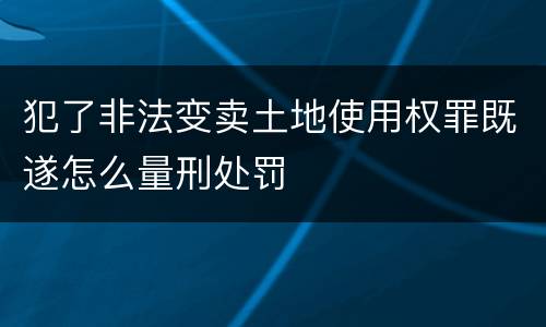 犯了非法变卖土地使用权罪既遂怎么量刑处罚