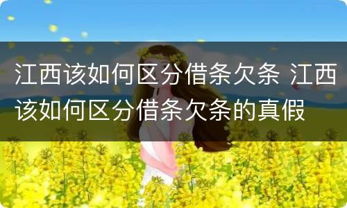 江西该如何区分借条欠条 江西该如何区分借条欠条的真假