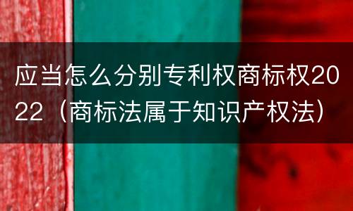 应当怎么分别专利权商标权2022（商标法属于知识产权法）