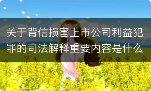 关于背信损害上市公司利益犯罪的司法解释重要内容是什么