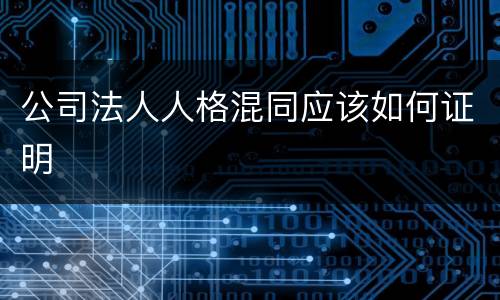 公司法人人格混同应该如何证明