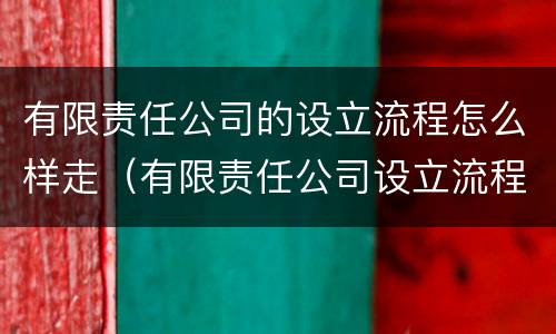有限责任公司的设立流程怎么样走（有限责任公司设立流程图）
