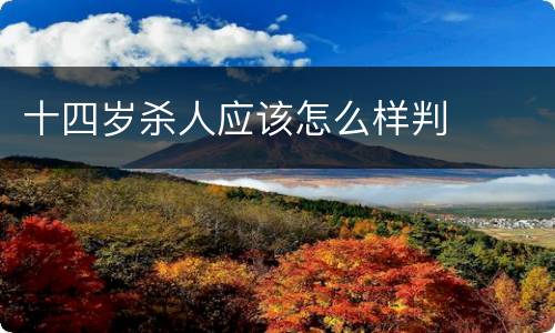 十四岁杀人应该怎么样判
