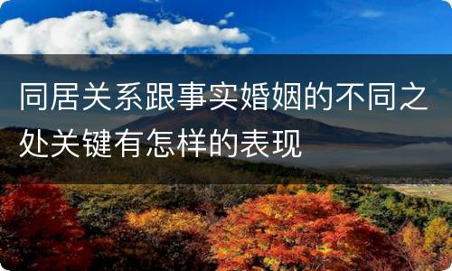 同居关系跟事实婚姻的不同之处关键有怎样的表现