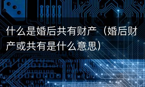 什么是婚后共有财产（婚后财产或共有是什么意思）
