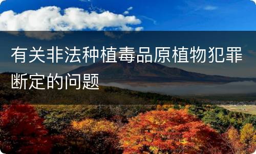 有关非法种植毒品原植物犯罪断定的问题