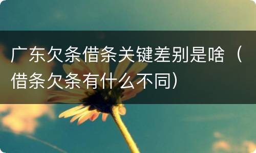 广东欠条借条关键差别是啥（借条欠条有什么不同）