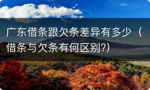 广东借条跟欠条差异有多少（借条与欠条有何区别?）