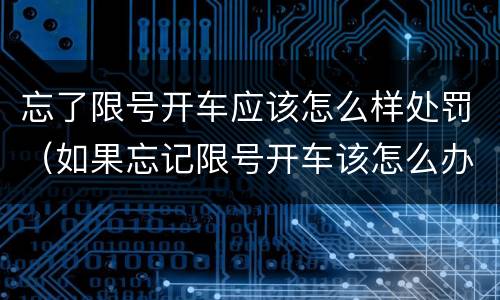 忘了限号开车应该怎么样处罚（如果忘记限号开车该怎么办）