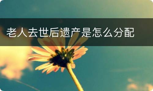老人去世后遗产是怎么分配