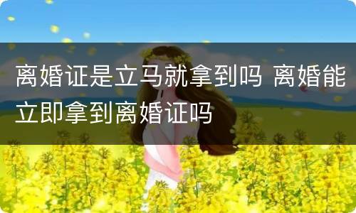 离婚证是立马就拿到吗 离婚能立即拿到离婚证吗