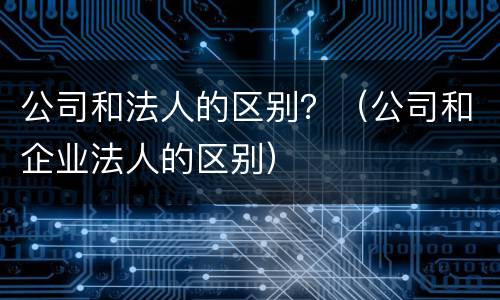 公司和法人的区别？（公司和企业法人的区别）