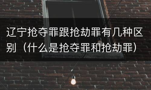 辽宁抢夺罪跟抢劫罪有几种区别（什么是抢夺罪和抢劫罪）