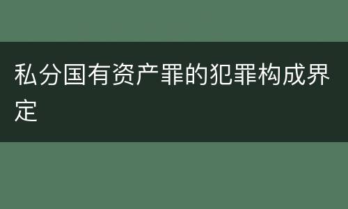 私分国有资产罪的犯罪构成界定