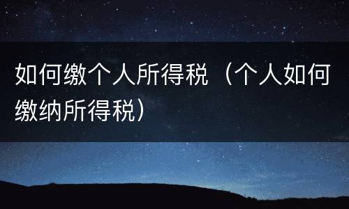 如何缴个人所得税（个人如何缴纳所得税）
