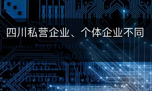 四川私营企业、个体企业不同
