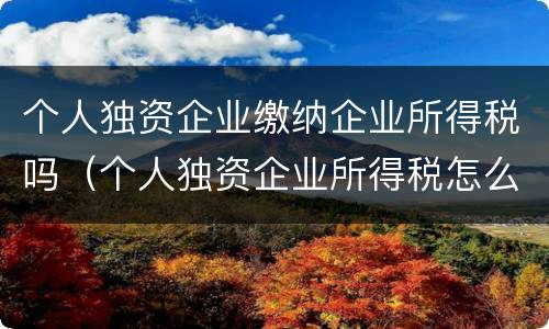 个人独资企业缴纳企业所得税吗（个人独资企业所得税怎么征收）