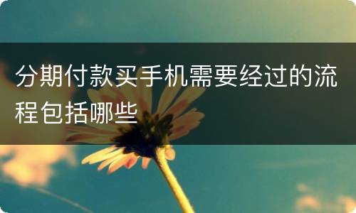 分期付款买手机需要经过的流程包括哪些
