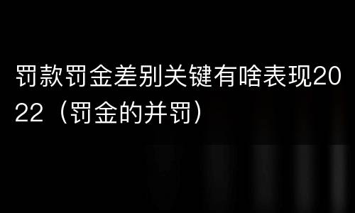 罚款罚金差别关键有啥表现2022（罚金的并罚）