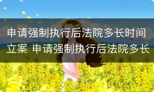 申请强制执行后法院多长时间立案 申请强制执行后法院多长时间立案成功