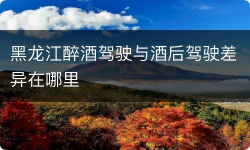 黑龙江醉酒驾驶与酒后驾驶差异在哪里