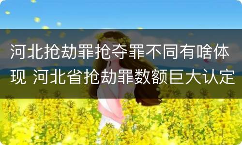 河北抢劫罪抢夺罪不同有啥体现 河北省抢劫罪数额巨大认定标准