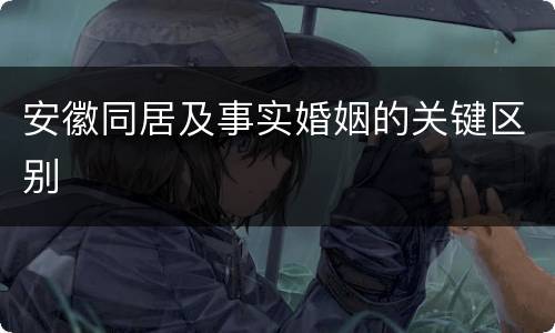 安徽同居及事实婚姻的关键区别