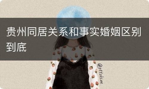 贵州同居关系和事实婚姻区别到底