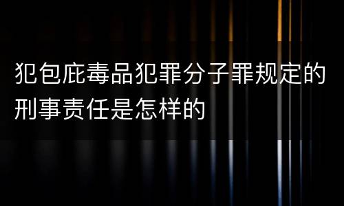 犯包庇毒品犯罪分子罪规定的刑事责任是怎样的