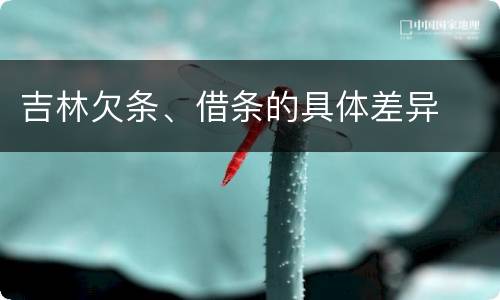 吉林欠条、借条的具体差异