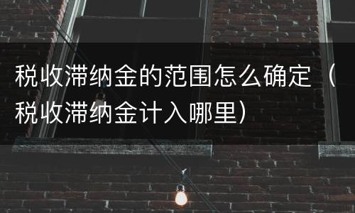 税收滞纳金的范围怎么确定（税收滞纳金计入哪里）