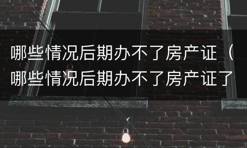 哪些情况后期办不了房产证（哪些情况后期办不了房产证了）