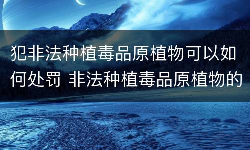 犯非法种植毒品原植物可以如何处罚 非法种植毒品原植物的处罚