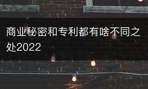 商业秘密和专利都有啥不同之处2022