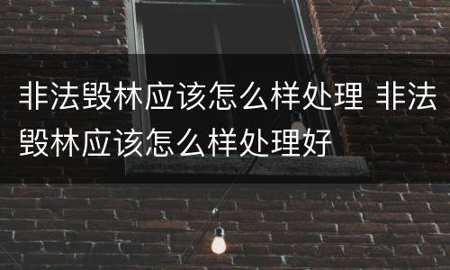 非法毁林应该怎么样处理 非法毁林应该怎么样处理好