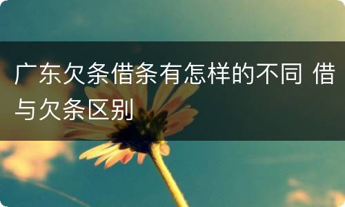 广东欠条借条有怎样的不同 借与欠条区别