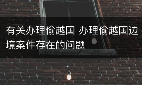 有关办理偷越国 办理偷越国边境案件存在的问题