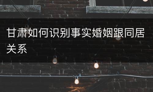 甘肃如何识别事实婚姻跟同居关系