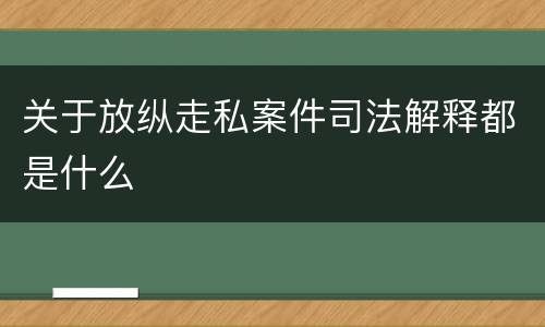 关于放纵走私案件司法解释都是什么