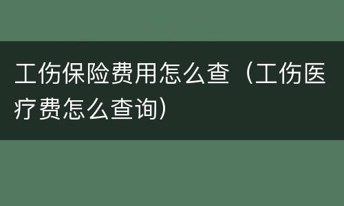工伤保险费用怎么查（工伤医疗费怎么查询）