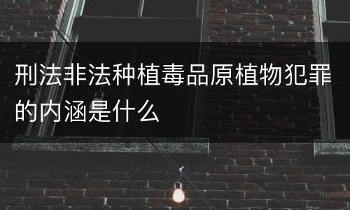 刑法非法种植毒品原植物犯罪的内涵是什么