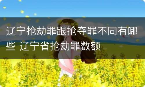 辽宁抢劫罪跟抢夺罪不同有哪些 辽宁省抢劫罪数额