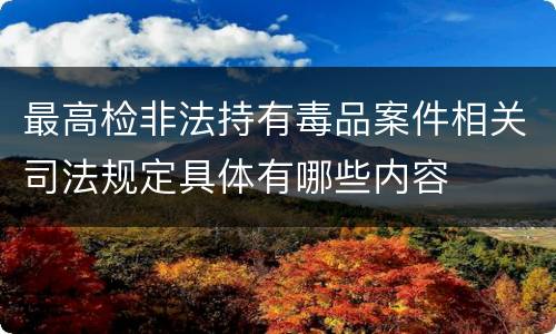 最高检非法持有毒品案件相关司法规定具体有哪些内容