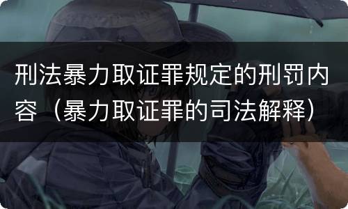 刑法暴力取证罪规定的刑罚内容（暴力取证罪的司法解释）
