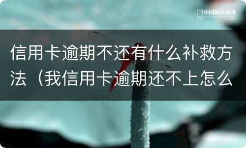 信用卡逾期不还有什么补救方法（我信用卡逾期还不上怎么办）