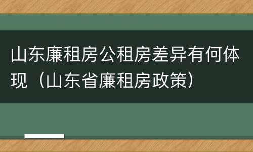 山东廉租房公租房差异有何体现（山东省廉租房政策）