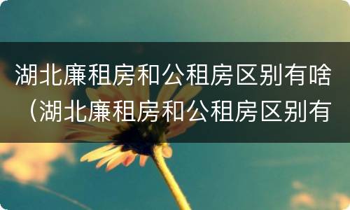 湖北廉租房和公租房区别有啥（湖北廉租房和公租房区别有啥区别呢）