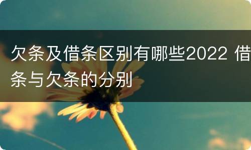 欠条及借条区别有哪些2022 借条与欠条的分别