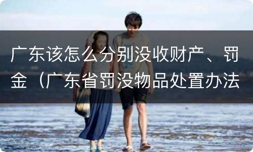 广东该怎么分别没收财产、罚金（广东省罚没物品处置办法）